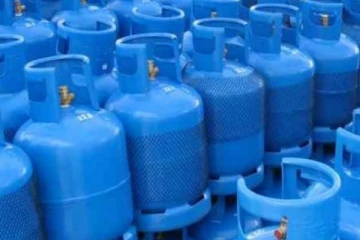 லிட்ரோ பங்குகளை விற்பனை செய்யும் அரசாங்கம்!