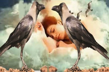 கனவில் காகம் வந்தால் ஜாக்கிரதையா இருங்க..! இந்த ஆபத்துக்கள் வரலாம்