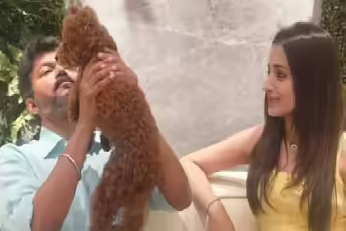 "00:00"என்றால் என்ன தெரியுமா ? இணையத்தை ஆக்கிரமிக்கும் த்ரிஷா பதிவின் பின்னணி அர்த்தம்! | Trisha Celebrated Cm Vijays Bday 00 00 Post Viral