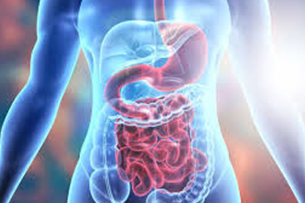 வெறும் வயிற்றில் சுடு தண்ணீர் குடித்துப் பாருங்க! ஏகப்பட்ட அதிசயத்தை உணர்வீங்க | Drink Hot Water In Empty Stomach Benefits