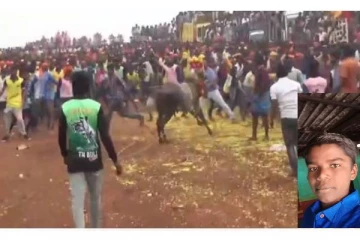 காளைமாடு முட்டி 10ஆம் வகுப்பு பள்ளி மாணவன் உயிரிழப்பு..!