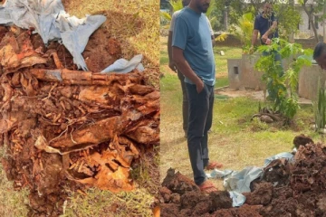 வவுனியாவில் வீட்டு வளாகத்தில் குழித்தோண்டியவருக்கு காத்திருந்த அதிர்ச்சி