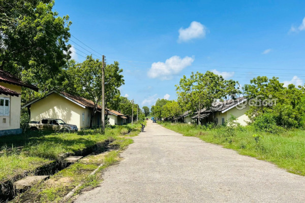 மக்களுக்கு கையளிக்கப்படாமல் காடு மண்டிக் கிடக்கும் வீடுகள்! 21 வருட அவல நிலை | Akkaraipattu Tsunami Houses Land Delay