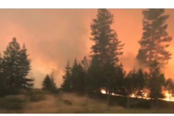 பிரிட்டிஷ் கொலம்பியாவில் பற்றி எரிந்து வரும் காட்டுத்தீ : அவசர அரசமாக மக்கள் வெளியேற்றம்!