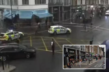 லண்டன் சாலையில் கத்தியால் குத்தப்பட்ட இளம்பெண்: நாற்காலியை கொண்டு பாதுகாத்த பொதுமக்கள்