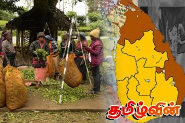 மலையக மக்களின் வருகை வடக்கு - கிழக்கிற்கு சாதகமா? பாதகமா?
