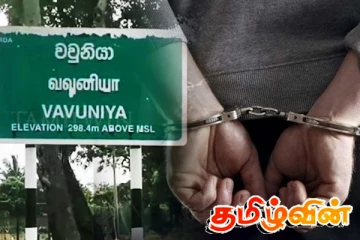வவுனியாவில் வியாபார நிலையத்தில் இருந்து மீட்கப்பட்ட வாக்காளர் அட்டைகள்!