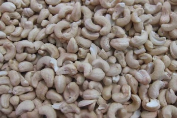 தலையை சுற்ற வைக்கும் ஒரு கிலோ மர முந்திரியின் விலை...இவ்வளவு ரூபாயா?