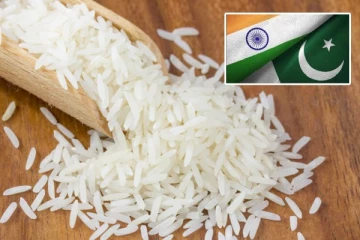 பாசுமதி அரிசி உரிமை: இந்தியா vs பாகிஸ்தான் சர்ச்சை!