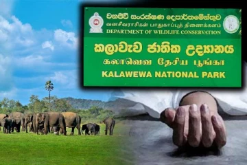 தேசிய பூங்காவில் கண்டெடுக்கப்பட்ட அடையாளம் தெரியாத சடலம்: தீவிர விசாரணையில் காவல்துறையினர்