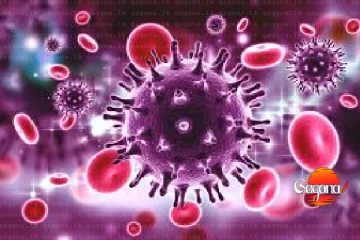 සුව කළ නොහැකි දරුණු ලිංගාශ්‍රිත ලෙඩක් ඉහළට