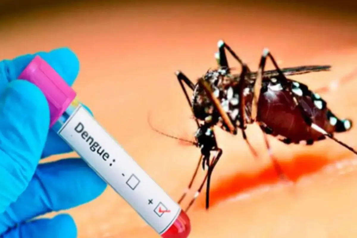 மட்டக்களப்பில் நுளம்பு பெருக்கம் அதிகரிப்பு- பொதுமக்களுக்கு விசேட அறிவுறுத்தல் | Mosquito Breeding Increases In Batticaloa