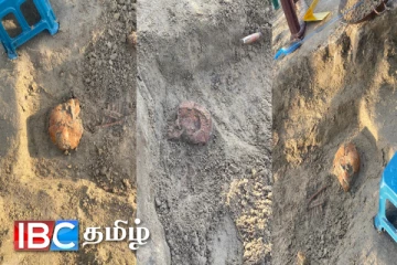 செம்மணியில் மற்றுமொரு மனித பேரவலம் : கண்டுபிடிக்கப்பட்ட எலும்புக்கூடுகள்