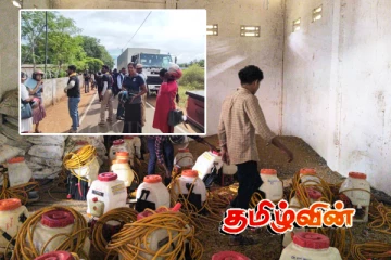 யாழில் முன்னெடுக்கப்பட்ட வெள்ளை ஈயினைக் கட்டுப்படுத்தும் வேலைத்திட்டம்