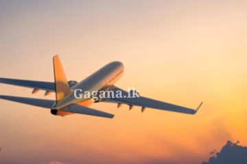 ඔබත් රැකියා සඳහා විදෙස්ගත වනවා නම් මේ දේ ඔබ වෙනුවෙන්මයි.