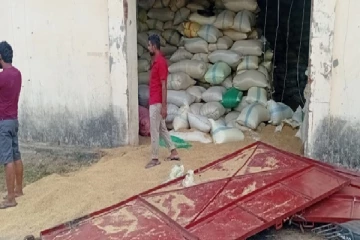 நெல் களஞ்சியசாலைக்குள் புகுந்து பெரும் அட்டகாசம் செய்த காட்டு யானை