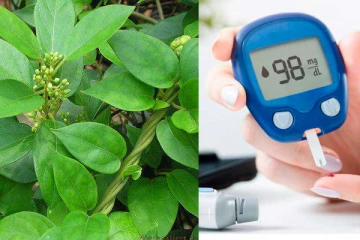 சர்க்கரை நோயாளிகளின் வரப்பிரசாதம்! 40 நாட்களில் நடக்கும் அதிசயம்