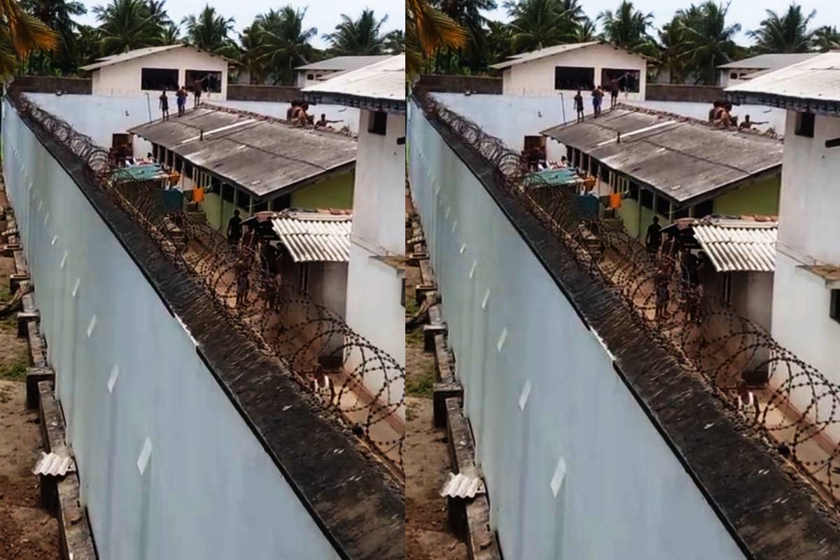 நீர்கொழும்பு பல்லசேன சிறையிலும் பதற்றம்! கற்களை வீசி எறியும் கைதிகள் | Tense Situation Reported At Pallansena Prison நீர்கொழும்பு பல்லசேன சிறையிலும் பதற்றம்! கற்களை வீசி எறியும் கைதிகள் | Tense Situation Reported At Pallansena Prison