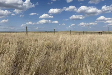 கனடாவின் இந்தப் பகுதிகளில் அவசரநிலை அறிவிப்பு