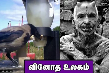 உடல் முழுக்க பச்சைக்குத்திய வினோத நபர்! தெருக்களில் இருந்து சிகரெட் துண்டுகளை எடுக்கும் காகங்கள்... வினோத உலகம்