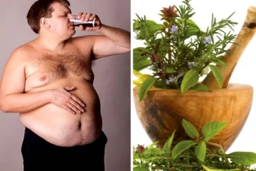 மின்னல் வேகத்தில் தொப்பை இறங்கி சிலிம்மாக வைக்கும் பானம்! எப்படி செய்றாங்க தெரியுமா?