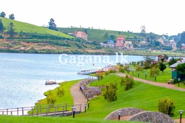 සුන්දර නුවරඑළියටත් සරසවියක්.