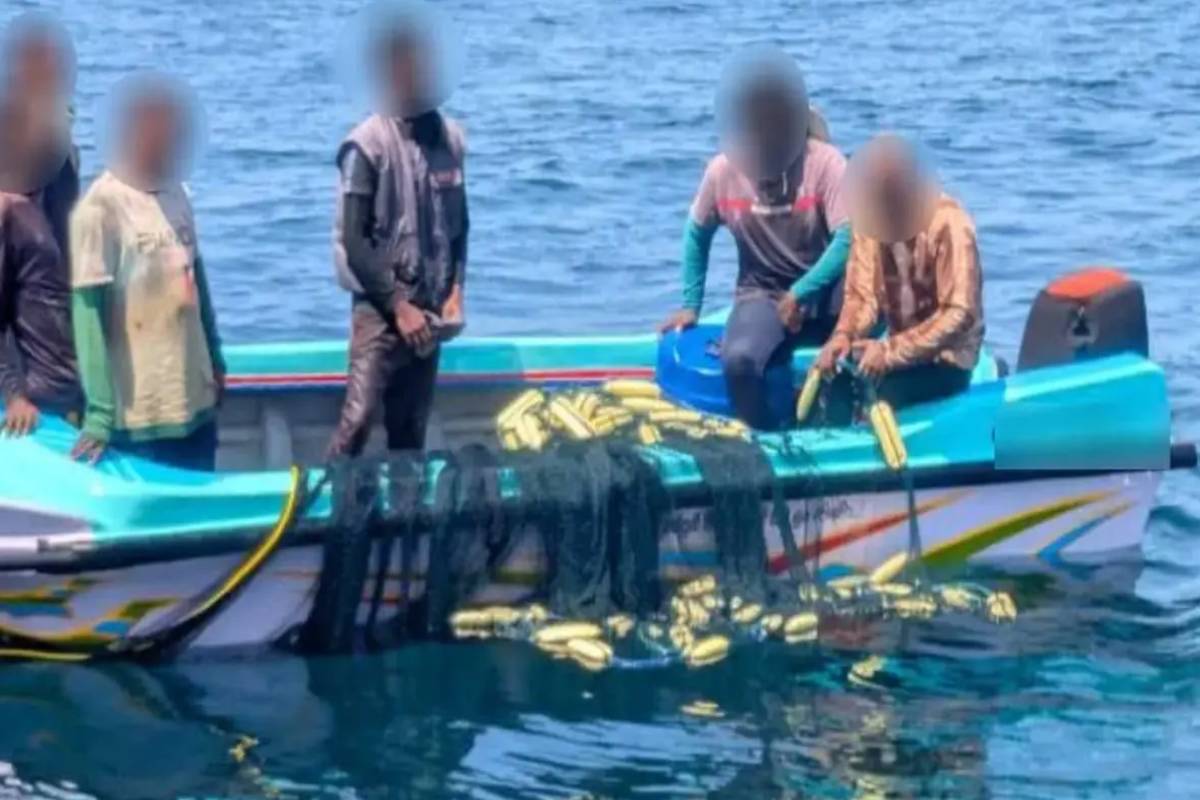 சட்டவிரோத கடற்றொழில் நடவடிக்கையில் ஈடுபட்ட 50 பேர் கைது | 50 People Arrested Engaging Illegal Fishing Activi சட்டவிரோத கடற்றொழில் நடவடிக்கையில் ஈடுபட்ட 50 பேர் கைது | 50 People Arrested Engaging Illegal Fishing Activi