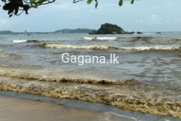 මුහුදේ පාට එකවරම වෙනස් වෙයි...ප්‍රදේශයේ ජනතාව අතර අනියත බියක්..