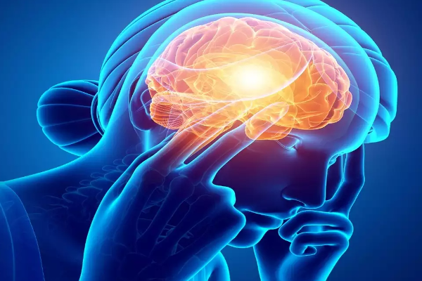 மூளையை தாக்கும் அமீபாவால் ஒருவர் உயிரிழப்பு! | Amoeba Attacks The Brain And One Person Dies