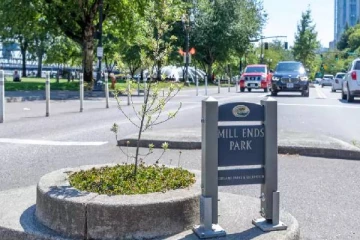 ஒரே ஒரு செடி மட்டுமே இருக்கும் உலகின் மிகச்சிறிய பூங்கா.., பின்னால் இருக்கும் சுவாரஸ்யமான கதை