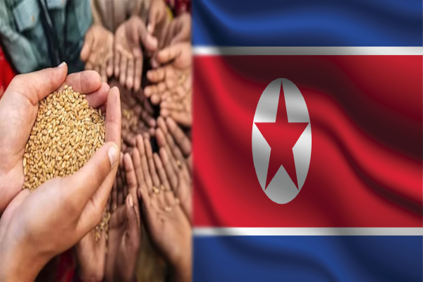 வடகொரியாவில் அதிகரிக்கும் உணவு பற்றாக்குறை - மௌனம் காக்கும் அரசு | North Korea Hunger Famine Food Shortages