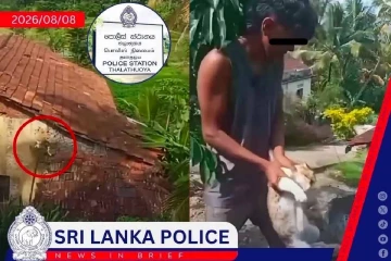 பூனையைத் துன்புறுத்திய இருவர் கைது
