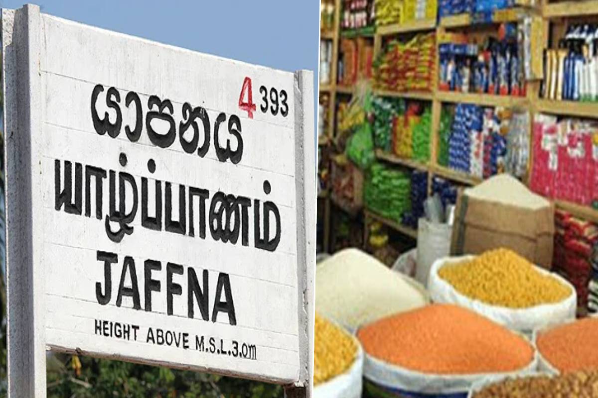 யாழில் எலி எச்சத்துடன் சவ்வரிசி விற்பனை: உரிமையாளருக்கு நீதிமன்றம் அபராதம் | Sago Sold With Rat Droppings In Jaffna