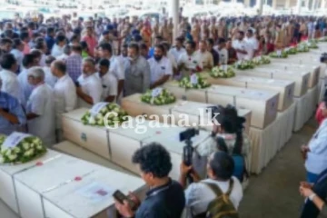 කුවේට්හි දී මියගිය ඉන්දියානුවන් 45 දෙනෙකුගේ සිරුරු රැගෙන එයි...