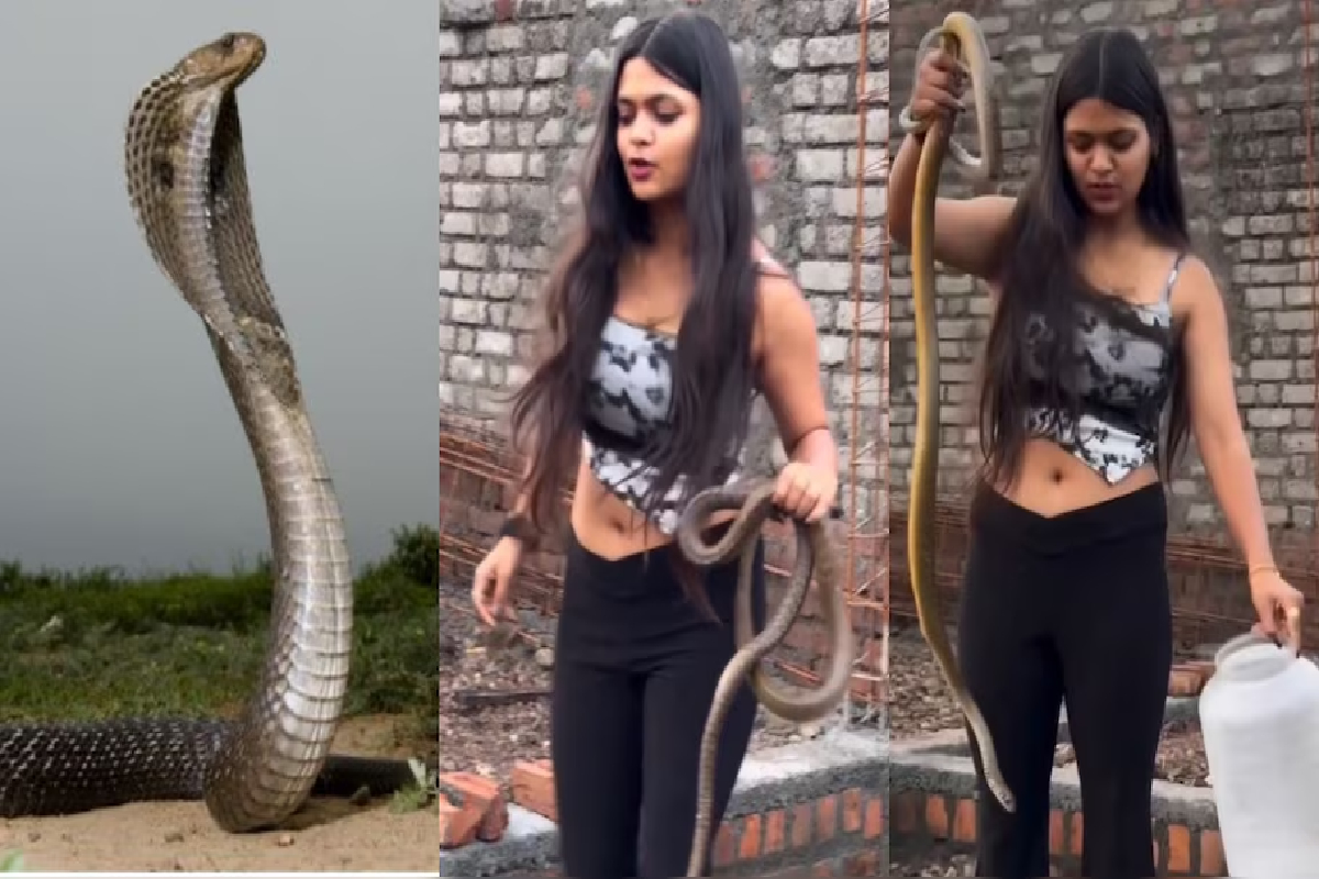 பெண்ணை பார்த்து பாம்பு பயந்த தருணம்