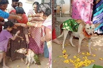 நாய்க்கு நடந்த வளைகாப்பு! 9 உணவுகளுடன் வைக்கப்பட்ட விருந்து