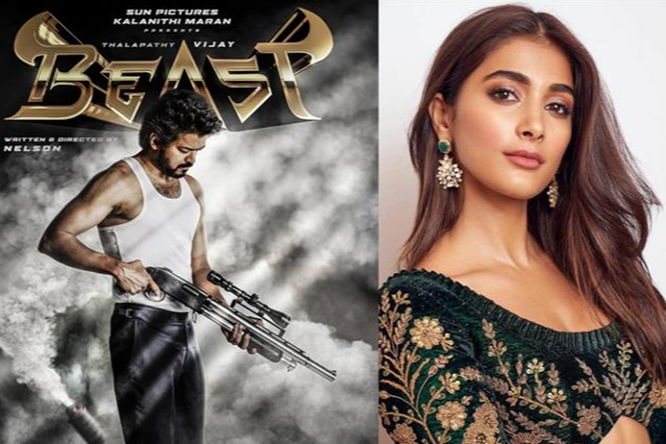 சிவகார்த்திகேயன் எழுதிய பாடலுடன் பீஸ்ட் படத்தில் இத்தனை பாடல்கள் உள்ளதா ! | Beast Movie Songs Update