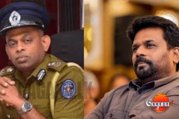 දේශබන්දු ධුරයෙන් නෙරපීමේ සම්මත වූ යෝජනාව ජනපති අතට