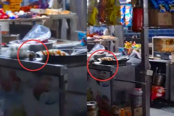 உணவுகளை ருசி பார்க்கும் எலி; தொடர் சர்ச்சையில் ரயில்வே - அதிர்ச்சி வீடியோ! - தமிழ்நாடு