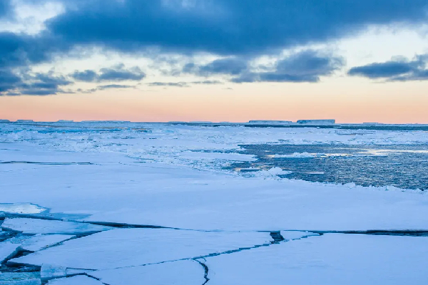 உருகும் அண்டார்டிக் பனிக் கடல் அழியுமா உலகம் ? - எச்சரிக்கும் ஆய்வாளர்கள் | Antarctic Sea Ice Researchers Warn