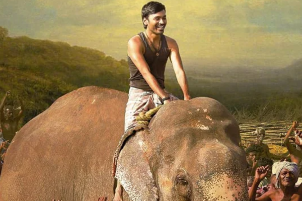 உலக அளவில் சாதனை படைக்கும் தனுஷ் & யோகிபாபு திரைப்படங்கள்! | Dhanush Yogi Babu