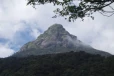 බදුල්ල පුංචි ශ්‍රී පාද කන්ද අවට ගින්නක් - අක්කර 100ක් විනාශයි