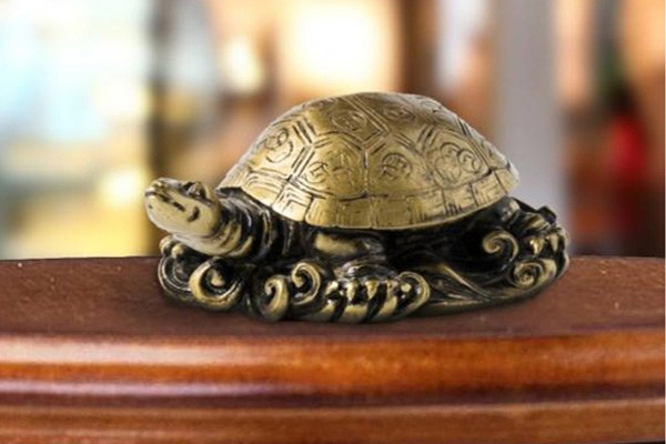 ஆமை புகுந்த வீட்டில் இந்த நன்மையும் நடக்குமாம்! | Tortoise In Home Vastu