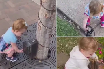 எல்லாம் சானிடைசர்தான் கைகளை நீட்டி துடைத்து செல்லும் சுட்டி குழந்தை!