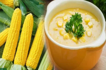 Corn Soup: நாவிற்கு சுவையான சோளம் சூப்- ஒரு முறை குடித்தால் இத்தனை பலன்களா?