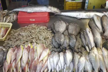 சந்தையில் மீன்களின் விலை சடுதியாக அதிகரிப்பு