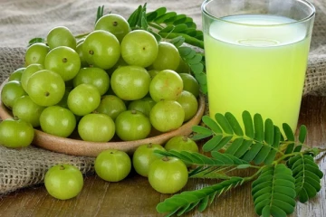 இந்த பிரச்சினை உள்ளவர்கள் நெல்லிக்காயை தெரியாமகூட சாப்பிடாதீங்க... பெரும் ஆபத்தை சந்திக்ககூடுமாம்!