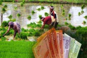 பாதிக்கப்பட்ட விவசாயிகளுக்கு நட்டஈடு வழங்க நிதி இல்லை!நாடாளுமன்றில் தெரிவிப்பு