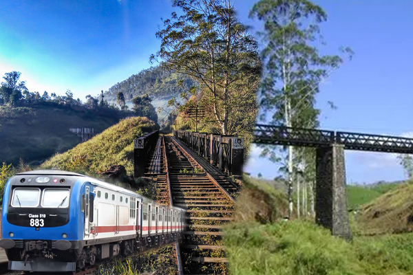 தொலைப்பேசியில் பேசிக்கொண்டிருந்த நிலையில் விபத்துக்குள்ளாகிய யுவதி! | Who Had An Accident While Talking On The Phone