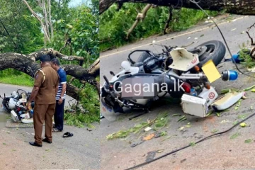 පොලිස් යතුරු පැදියකට ගසක් කඩා වැටී දෙදෙනෙකුට බරපතලයි.(PHOTOS)
